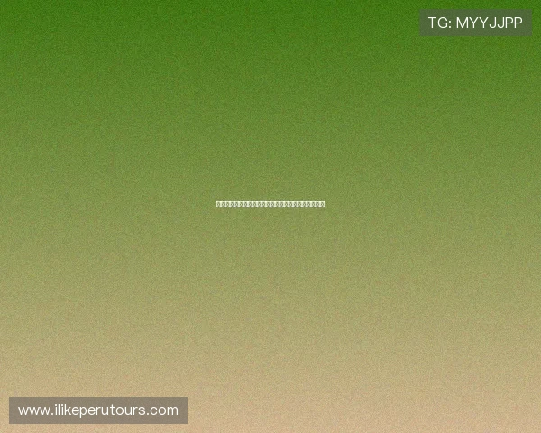 比利时对阵埃及比赛球员评分详细分析与赛后表现点评 比利时对阵埃及比赛球员评分详细分析与赛后表现点评