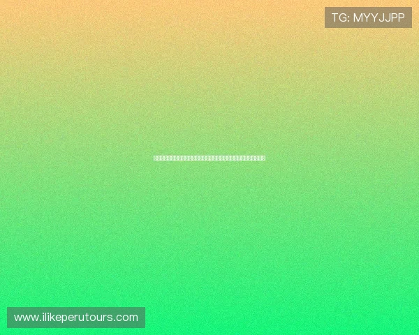 乌拉圭队在世界杯中的明星球员盘点：他们的表现如何影响球队晋级前景